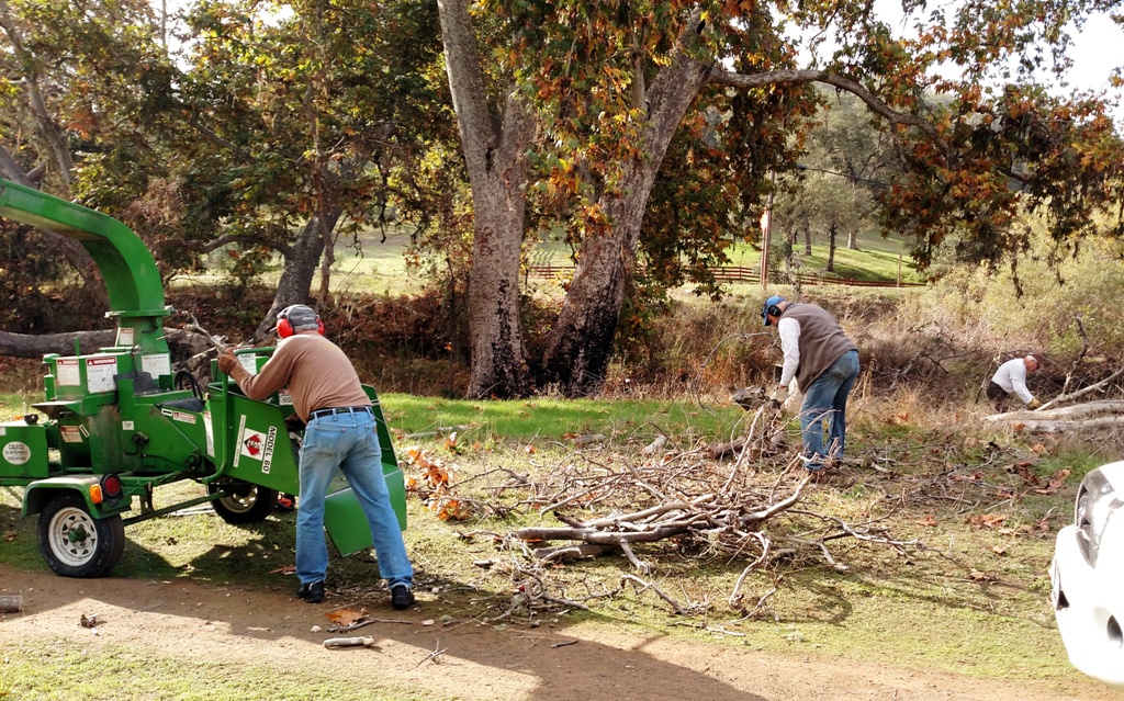 Jim, Clyde and Bruce chipping the debris from the fallen Sycamore branch.